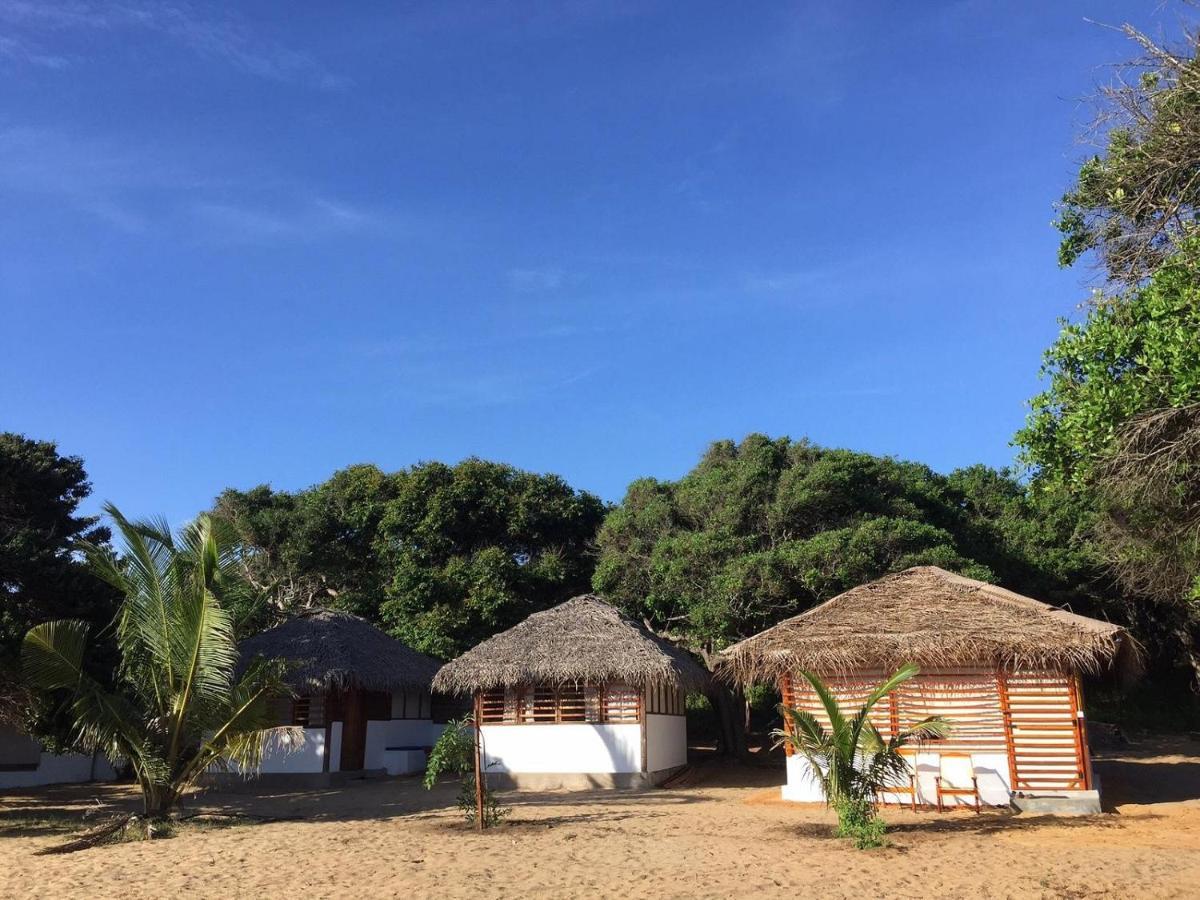 Upali Beach Surf Resort & Cafe Arugam Bay Kültér fotó